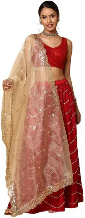 Dupion Solid Saree Blouse Top Sweetheart Neck Sleeveless Hook and Eye Closure Back Open Choli Sari