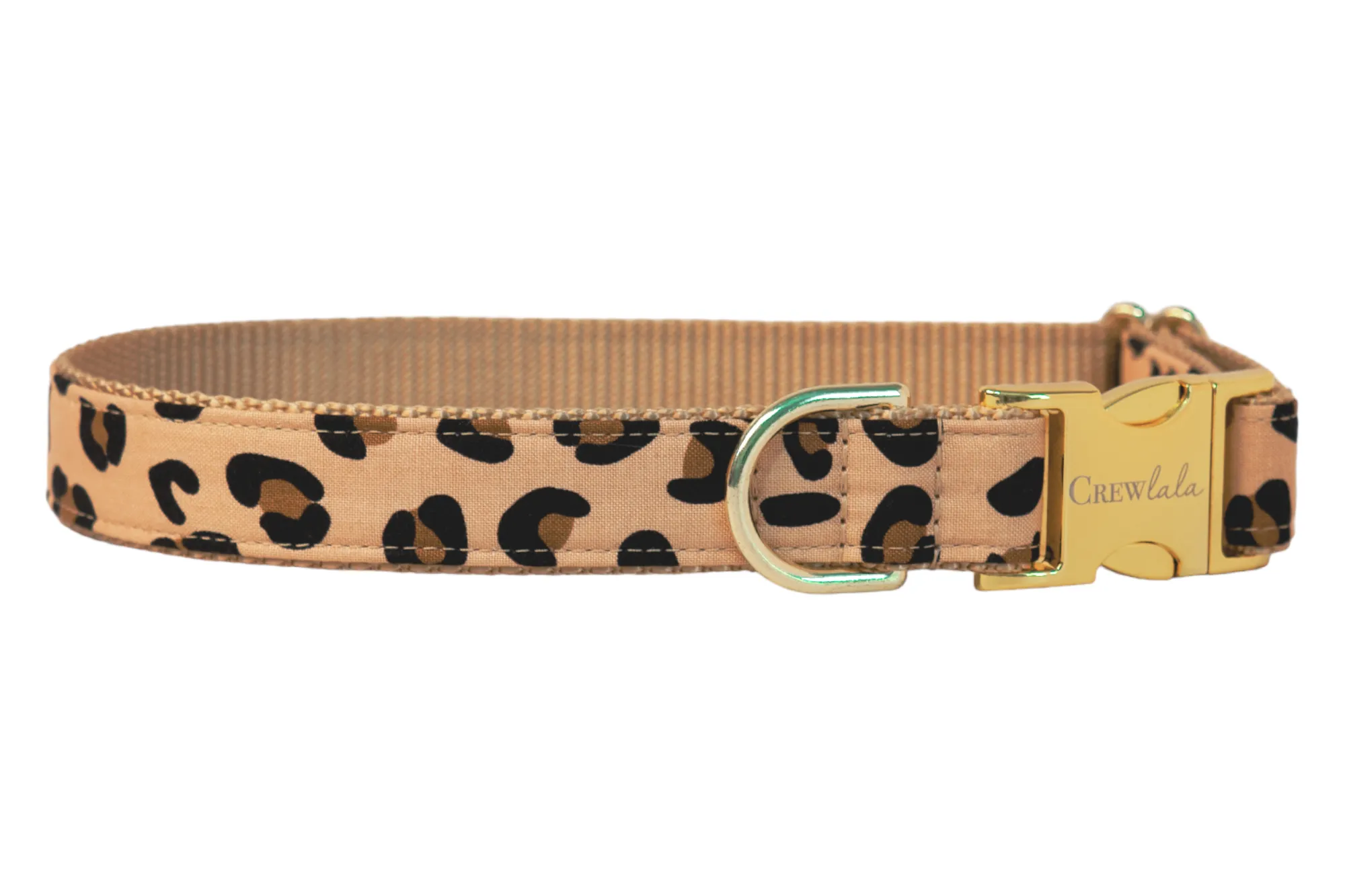 Party Animal Dog Collar - Two Styles!