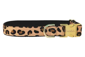 Party Animal Dog Collar - Two Styles!